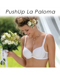 PushUp La Paloma