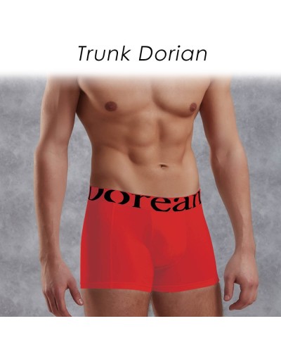 Trunk Dorian