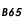 B65